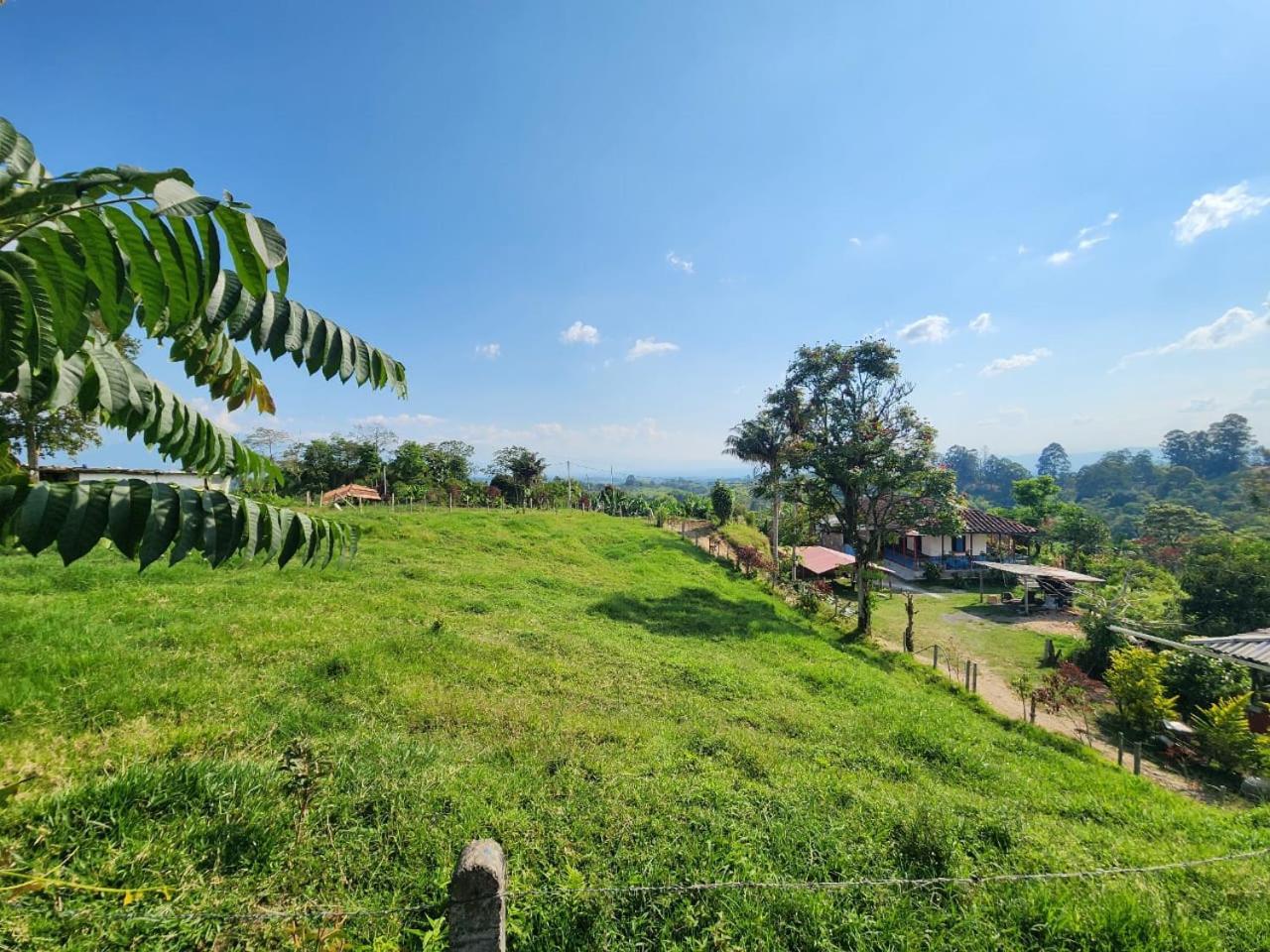 Rural Bellavista *